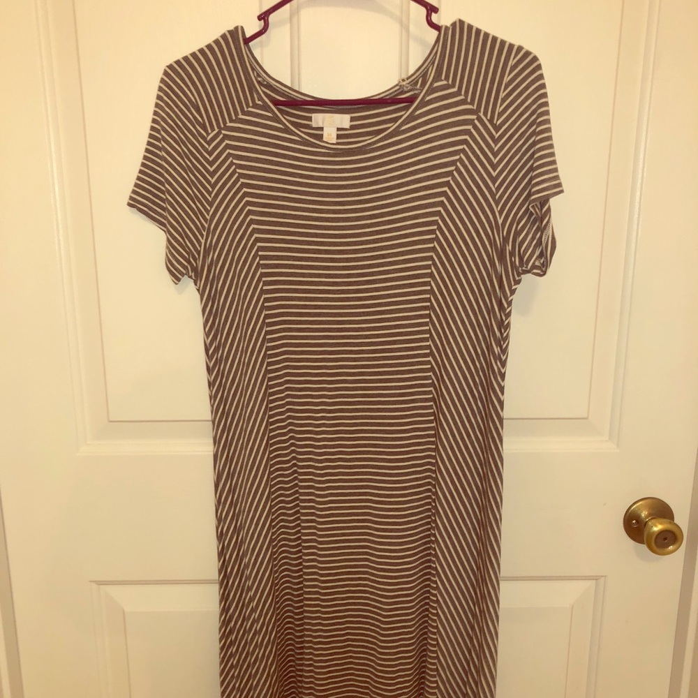 Charming Charlie Dress